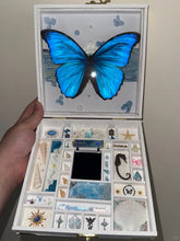 Butterfly Specimen Gift – Blue Butterfly & Ocean Keepsake Box - Whispers of Purity